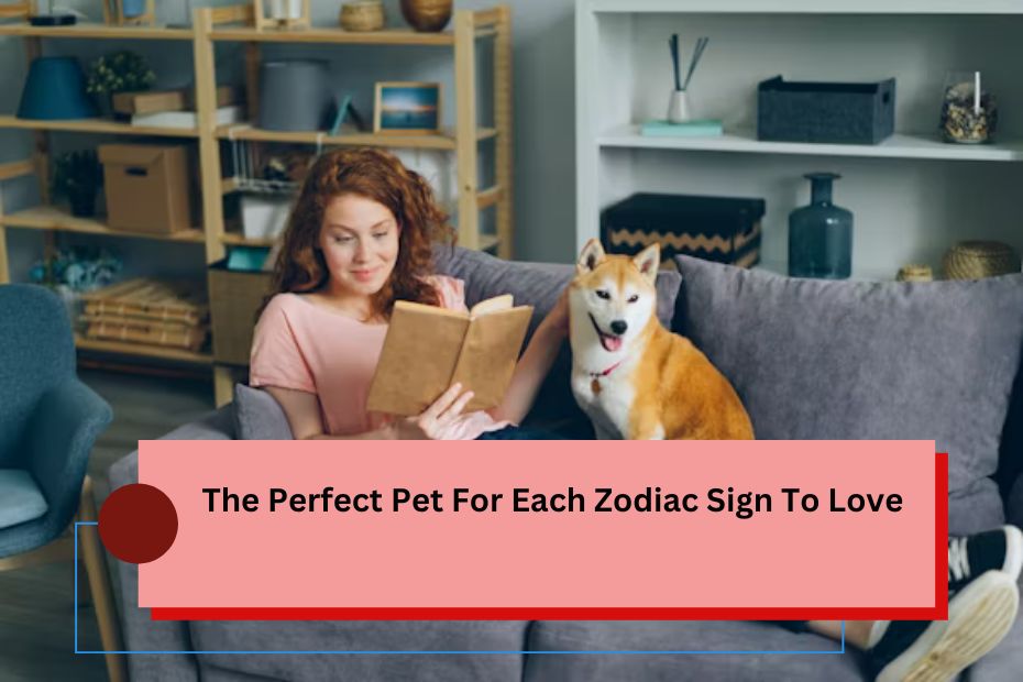 The Perfect Pet For Each Zodiac Sign To Love